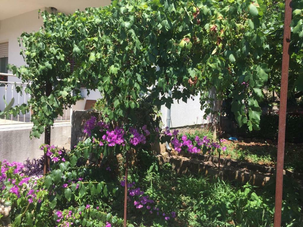 Relax Garden Apartment สตารีกราด ภายนอก รูปภาพ